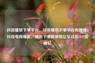 抖音播放下单平台，抖音播放下单平台有哪些，抖音电商崛起，播放下单新体验亿乐社区SUP货源站
