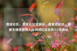 直客社区，直客社区货源站，直客式社区，构建无缝连接的人际网络亿乐社区SUP货源站