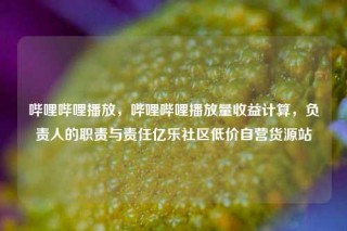 哔哩哔哩播放，哔哩哔哩播放量收益计算，负责人的职责与责任亿乐社区低价自营货源站