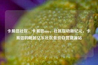 卡易信社区，卡易信app，社区互动新纪元，卡易信的崛起亿乐社区低价自营货源站