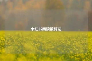 小红书阅读数算法