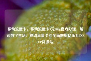 移动流量卡，移动流量卡9元300g官方办理，解锁数字生活，移动流量卡的全面解析亿乐社区SUP货源站