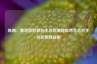 陈刚：推动良好政治生态和美好自然生态共生共优相得益彰