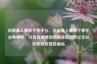 抖音真人播放下单平台，抖音真人播放下单平台有哪些，抖音直播带货的商业新趋势亿乐社区低价自营货源站
