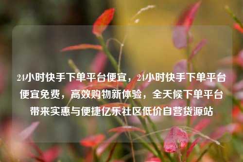 24小时快手下单平台便宜	，24小时快手下单平台便宜免费，高效购物新体验，全天候下单平台带来实惠与便捷亿乐社区低价自营货源站  第1张