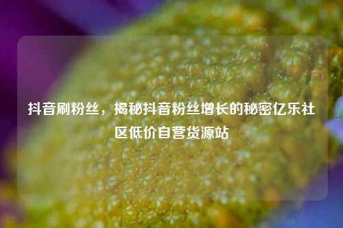 抖音刷粉丝，揭秘抖音粉丝增长的秘密亿乐社区低价自营货源站  第1张