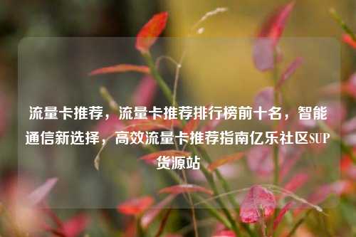 流量卡推荐，流量卡推荐排行榜前十名，智能通信新选择	，高效流量卡推荐指南亿乐社区SUP货源站  第1张