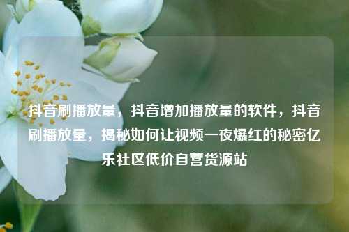 抖音刷播放量，抖音增加播放量的软件	，抖音刷播放量，揭秘如何让视频一夜爆红的秘密亿乐社区低价自营货源站  第1张
