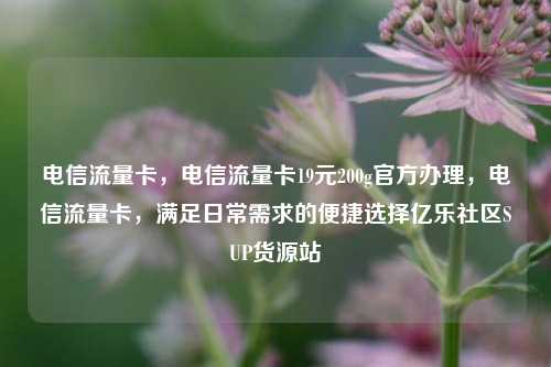 电信流量卡，电信流量卡19元200g官方办理，电信流量卡	，满足日常需求的便捷选择亿乐社区SUP货源站  第1张