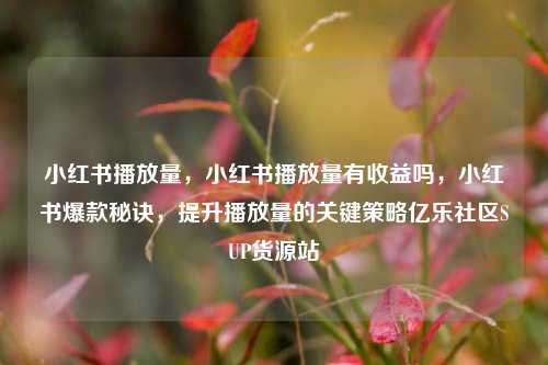 小红书播放量	，小红书播放量有收益吗，小红书爆款秘诀，提升播放量的关键策略亿乐社区SUP货源站  第1张