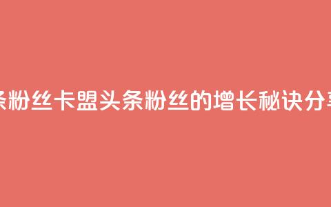 卡盟头条粉丝 - 卡盟头条粉丝的增长秘诀分享！  第1张