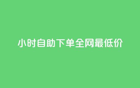 24小时自助下单全网最低价ks,网红商城 - wb自助平台业务下单真人 qq会员业务网站  第1张