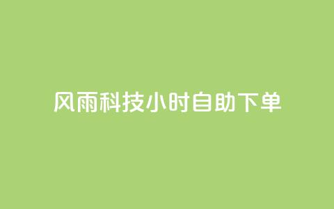 风雨科技24小时自助下单 - 风雨科技24小时自助服务订购！  第1张