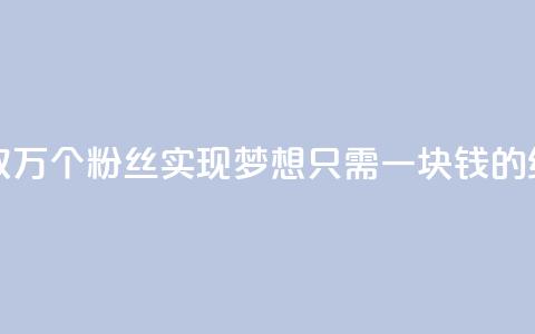 1块1万粉 - 如何获取1万个粉丝：实现梦想只需一块钱的绝佳策略~  第1张