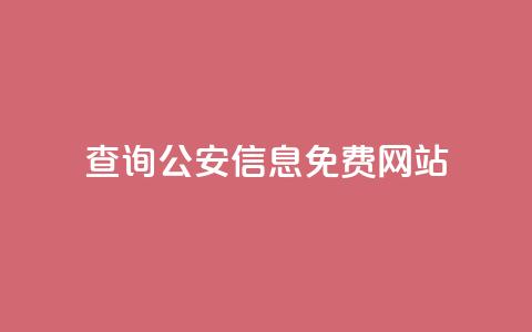 查询公安信息免费网站  第1张