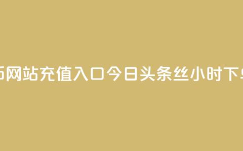 抖音抖币网站充值入口 - 今日头条丝24小时下单  第1张