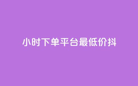 24小时下单平台最低价抖,dy业务自动下单网站 - 快手人气自助网站 王者荣耀主页赞自助平台  第1张