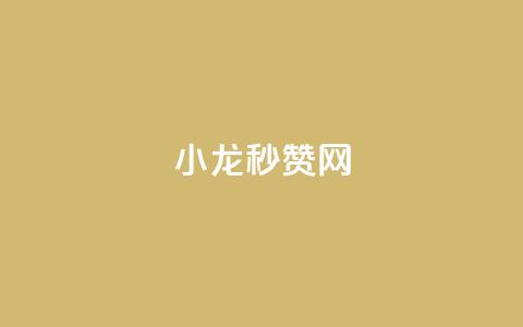 小龙秒赞网 - 小龙秒赞网：让你的社交媒体瞬间火爆的秘诀~  第1张