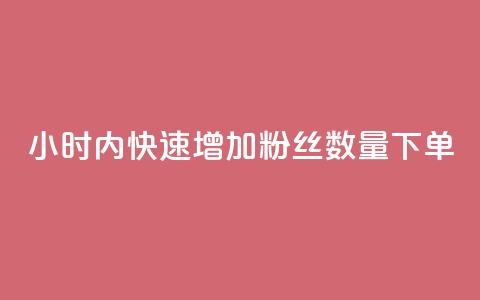 24小时内快速增加粉丝数量下单  第1张