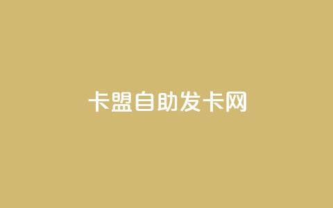 卡盟自助发卡网 - 自助发卡网——卡盟平台优势详解！  第1张