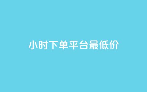 24小时下单平台最低价 - 24小时内订购 最优惠价格 平台~  第1张