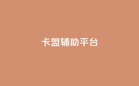 卡盟辅助平台 - 高效实用的卡盟辅助平台助你取得更佳效果!  第1张