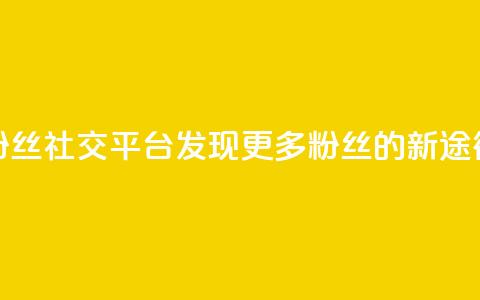 粉丝社交平台：发现更多粉丝的新途径  第1张