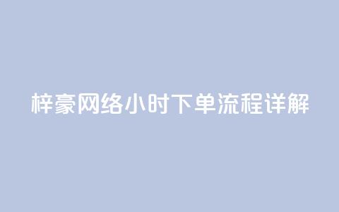 梓豪网络24小时下单流程详解,24小时自助下单商城app - 快手秒单 ks自助下单服务平台秒到帐  第1张