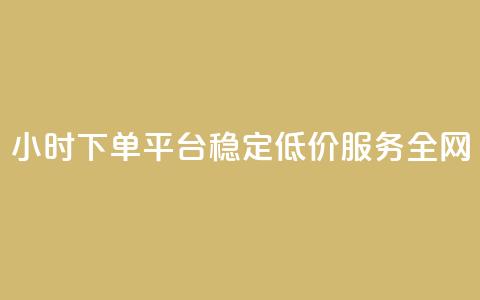 24小时下单平台：稳定低价服务全网  第1张