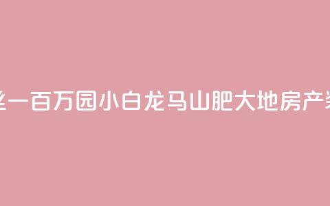 快手粉丝一百万0.01园小白龙马山肥大地房产装修网站,QQ红钻卡盟 - qq业务自助 子潇网络平台是合法吗  第1张