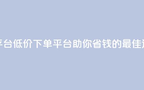 dy低价下单平台 - 低价下单平台-助你省钱的最佳选择!  第1张