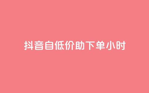 抖音自低价助下单24小时,抖音自动评论软件手机版 - 卡盟平台qq业务qq音乐会员 抖音怎样快速吸粉  第1张