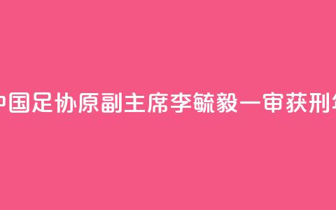 中国足协原副主席李毓毅一审获刑11年  第1张