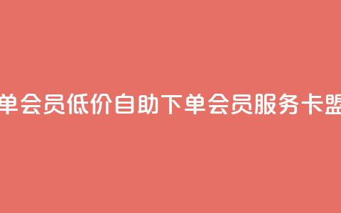 卡盟低价自助下单会员 - 低价自助下单会员服务-卡盟新版上线~  第1张