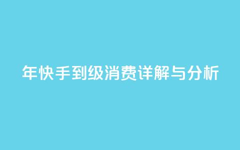 2024年快手1到120级消费详解与分析  第1张