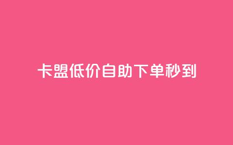 卡盟低价自助下单秒到 - 极速到账！卡盟低价自主下单等您来！~  第1张