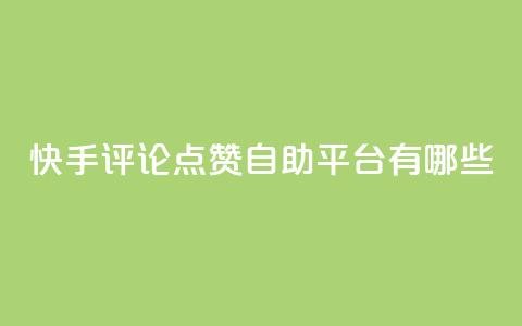 快手评论点赞自助平台有哪些,快手业务区网站 - ks免费业务平台call 抖音快手自助服务  第1张