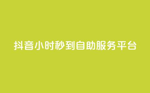 抖音24小时秒到自助服务平台,ks便宜的下单平台 - 抖音评论挣钱是什么套路 Dy号商购买  第1张