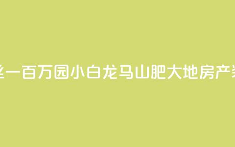 快手粉丝一百万0.01园小白龙马山肥大地房产装修网站,dy自定义评论业务 - qq说说赞低价下单 qq点赞业务  第1张