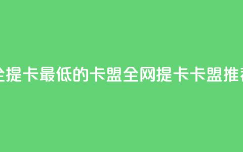 全网辅助最全提卡最低的卡盟 - 全网提卡卡盟推荐指南~  第1张