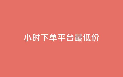 24小时下单平台最低价 - 全天候最低价下单平台推荐~  第1张