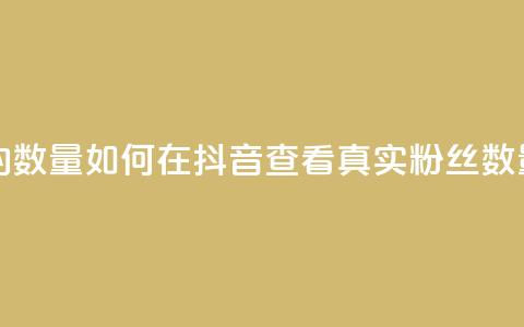 抖音怎么看真粉丝的数量 - 如何在抖音查看真实粉丝数量的方法解析~  第1张