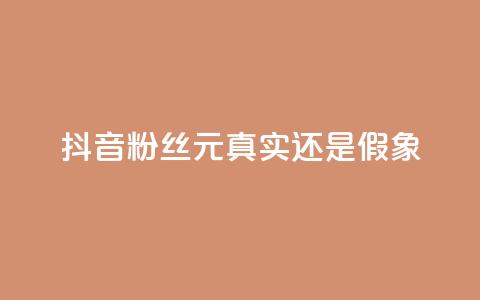抖音1000粉丝100元：真实还是假象？  第1张