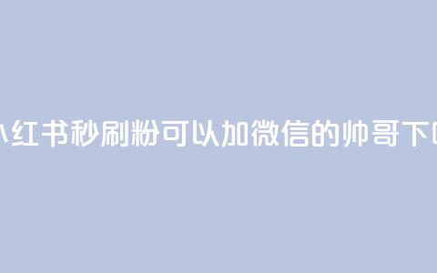 1元小红书秒刷1000粉 - 可以加微信的帅哥  第1张