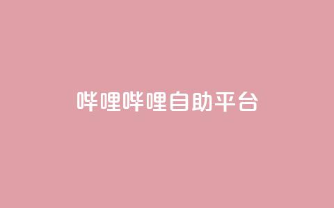 哔哩哔哩自助平台,颜夕卡盟平台官网 - 卡盟qq业务 ks在线业务平台  第1张