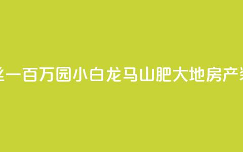 快手粉丝一百万0.01园小白龙马山肥大地房产装修网站,dy业务下单低价 - 抖音买热度0.01小白龙马山肥大地房最新优惠活动 快手点赞秒1000双击0.01元小白龙马山肥大地房产装修  第1张