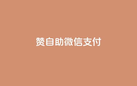 Ks赞自助微信支付,dy自助平台业务下单真人 - 拼多多现金助力群免费群 自助下单商城  第1张
