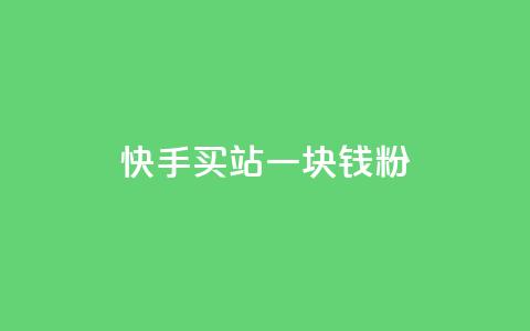 快手买站一块钱1000粉,快手播放量推送软件 - 空间人气精灵手机版 粉丝平台代理  第1张