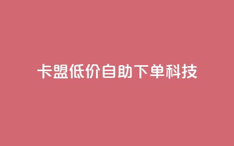 卡盟低价自助下单科技 - 低价自助服务助力卡盟轻松下单!  第1张
