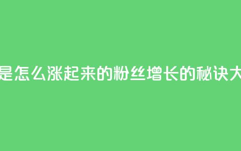 粉丝是怎么涨起来的(粉丝增长的秘诀大揭密)  第1张